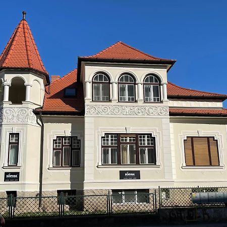 Vila Marioara Sibiu Extérieur photo
